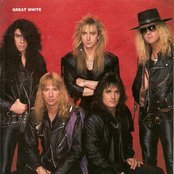 Great White - List pictures