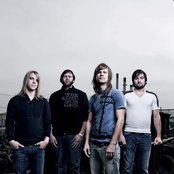 Ivoryline - List pictures