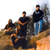 Disgorge - List pictures