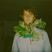 Little Wings - List pictures