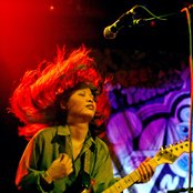 Heliotropes - List pictures