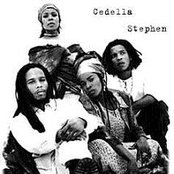 Ziggy Marley & The Melody Makers - List pictures