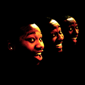 Little Brother - List pictures