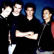 Quicksand - List pictures