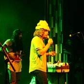 The Growlers - List pictures