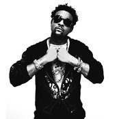 Shaggy - List pictures