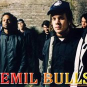 Emil Bulls - List pictures