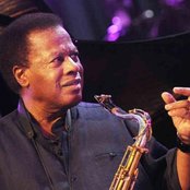 Wayne Shorter - List pictures