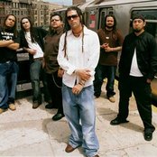Ill Niño - List pictures