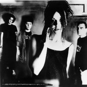 The Cranes - List pictures