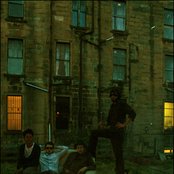 Shitdisco - List pictures