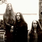 Paramaecium - List pictures