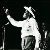 Big Mama Thornton - List pictures