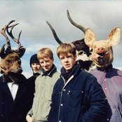 The Coral - List pictures