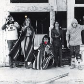 Wings - List pictures