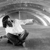 Oren Lavie - List pictures