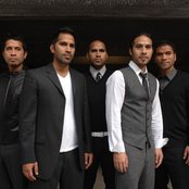 Katinas - List pictures