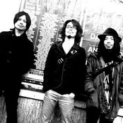 People In The Box - List pictures