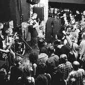 Liblikas - List pictures