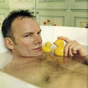 Sting - List pictures