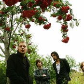 Boy Kill Boy - List pictures