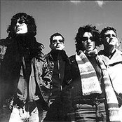 Denali - List pictures