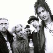 Pop Will Eat Itself - List pictures