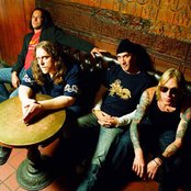 Gov't Mule - List pictures