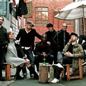 Bran Van 3000 - List pictures