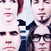 Dolly - List pictures