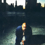 Royal Flush - List pictures