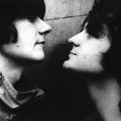 Seahorses - List pictures