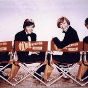 Monkeys - List pictures