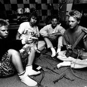 Unicorn - List pictures