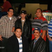 Yellow Hammers - List pictures