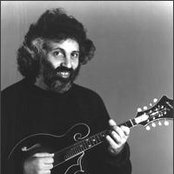 David Grisman - List pictures