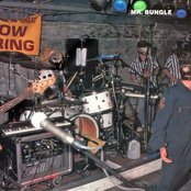 Mr. Bungle - List pictures