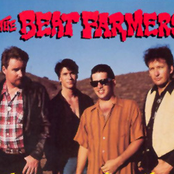 Beat Farmers - List pictures
