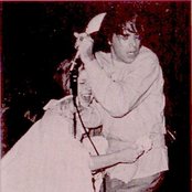 Seeds - List pictures