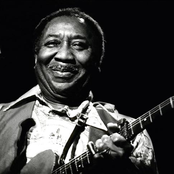 Muddy Waters - List pictures
