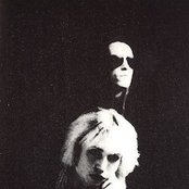 Rosetta Stone - List pictures