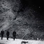 Zavod - List pictures