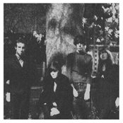 Veronica Falls - List pictures