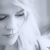 The Common Linnets - List pictures