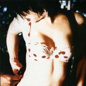 The Distillers - List pictures