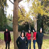 Scarling - List pictures