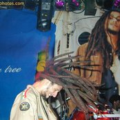 Julian Marley - List pictures