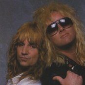 Great White - List pictures