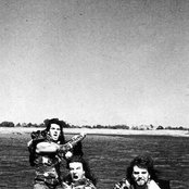 Carnivore - List pictures