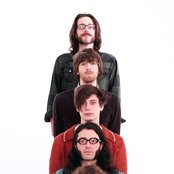 Maybird - List pictures